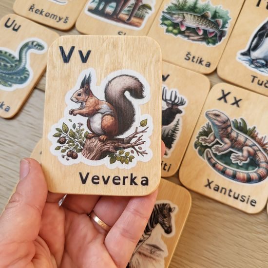 Barevné abecední karty - zvířata