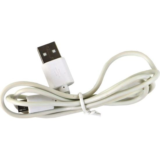 Noční dinosauří lampička- pterosaurus ve vajíčku