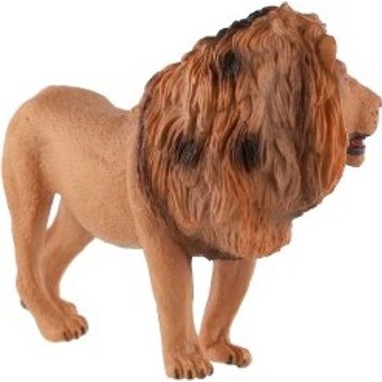 Lev berberský zooted