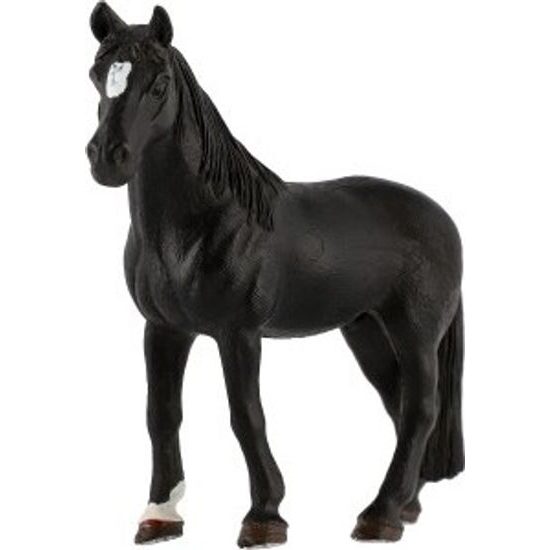 Kůň domácí vraník zooted