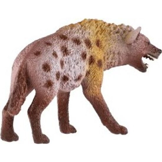 Hyena skvrnitá zooted