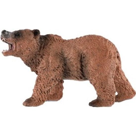 Medvěd hnědý zooted