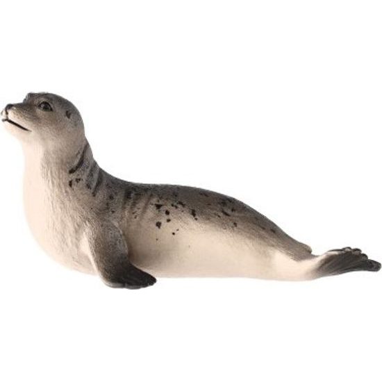 Tuleň obecný zooted