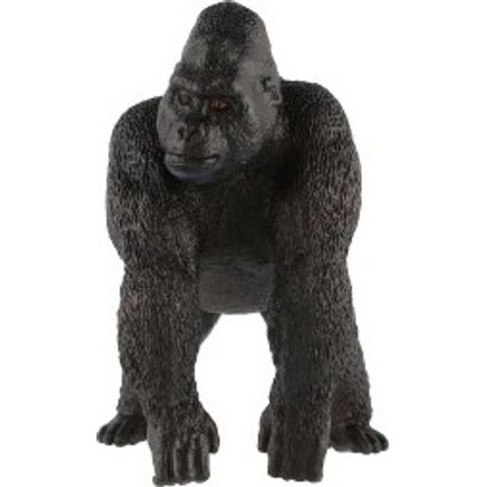 Gorila horská zooted