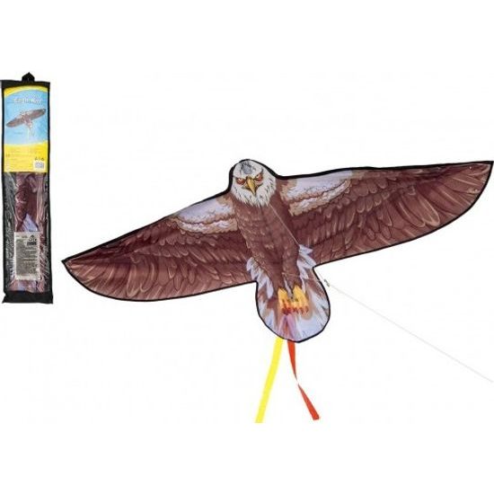 Drak létající - orel