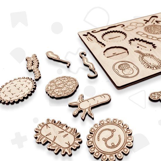 Baktérie a vírusy- edukatívne drevené puzzle 24x28 cm