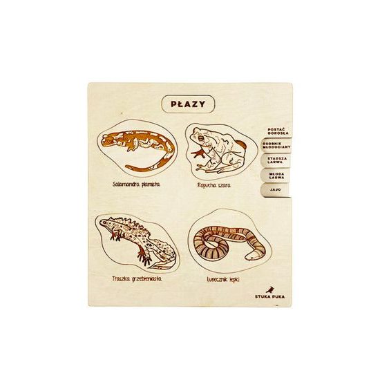 Obojživelníky - životné cyklusy - set - ČESKÁ VERZIA