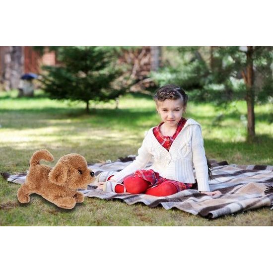 Plyšový pejsek na baterie Pudl