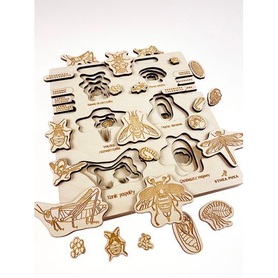 Premena dokonalá, nedokonalá - životné cykly- set - ČESKÁ VERZIA