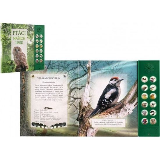 Zvuková knížka Ptáci našich lesů