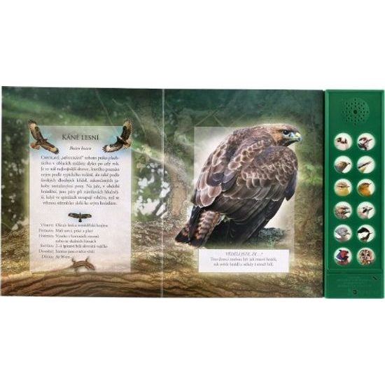 Zvuková knížka Ptáci našich lesů