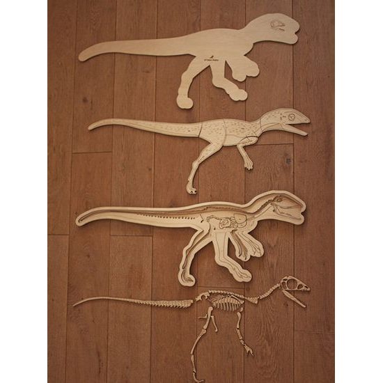 Dinosaurus - anatómia tela - edukatívne puzzle - SLOVENSKÁ VERZIA