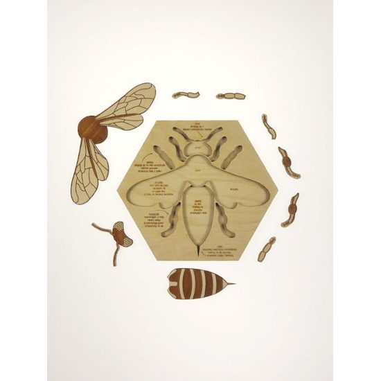 Včela edukativní puzzle - ČESKÁ VERZE