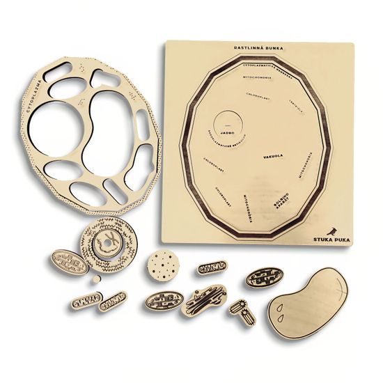 Rastlinná bunka - edukatívne puzzle - SLOVENSKÁ VERZIA