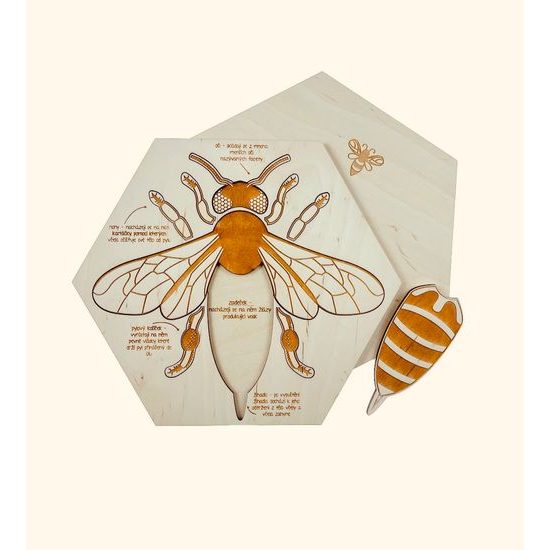 Včela edukativní puzzle - ČESKÁ VERZE