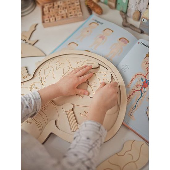 Hlava anatomie - edukativní dřevěné puzzle - SLOVENSKÁ VERZE