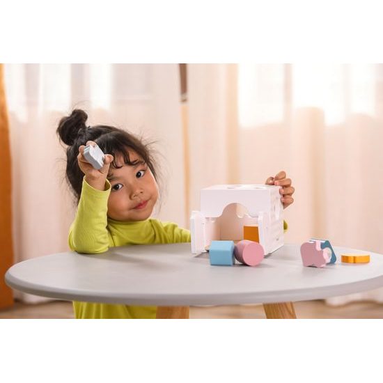 Dřevěná vkládačka se zvířátky Viga