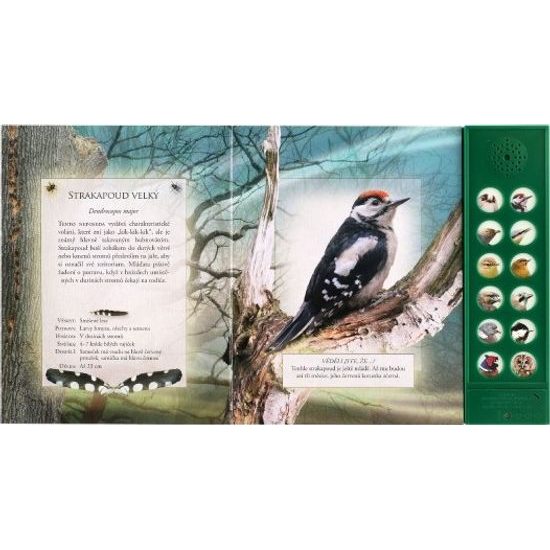 Zvuková knížka Ptáci našich lesů