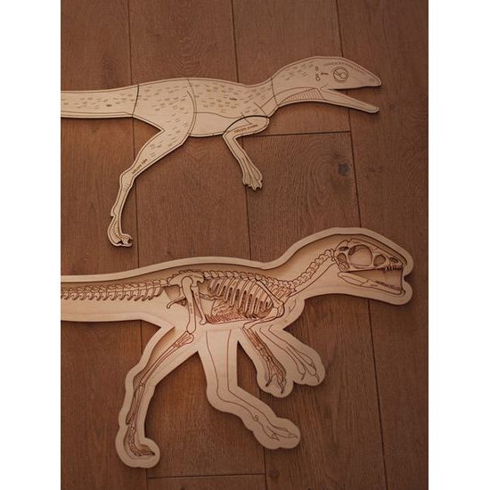 Dinosaurus - anatómia tela - edukatívne puzzle - SLOVENSKÁ VERZIA