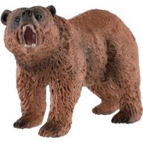 Medvěd hnědý zooted