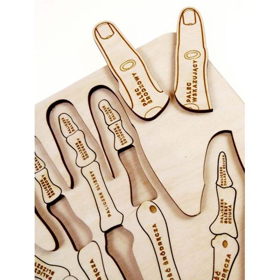 Ruka - anatomie - edukativní dřevěné puzzle - ČESKÁ VERZE