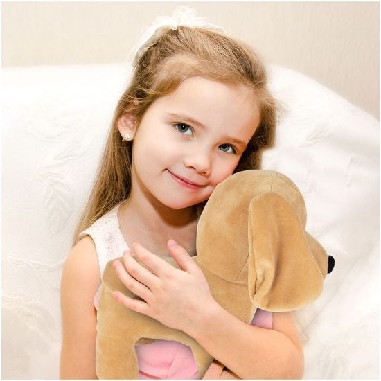 Plyšový pejsek v taštičce 24 cm Baby Kiddo