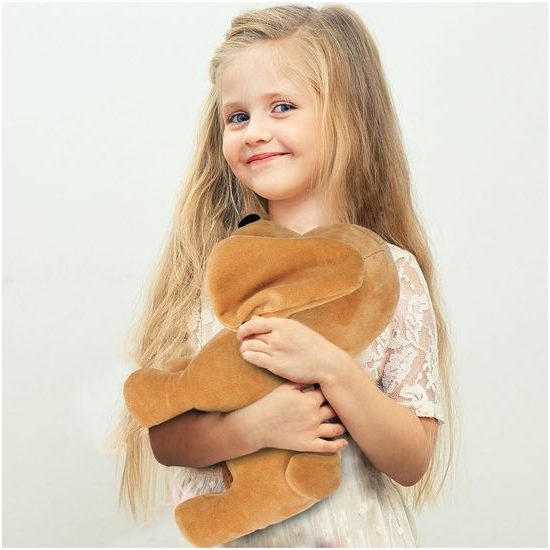 Plyšový pejsek v taštičce 24 cm Baby Kiddo