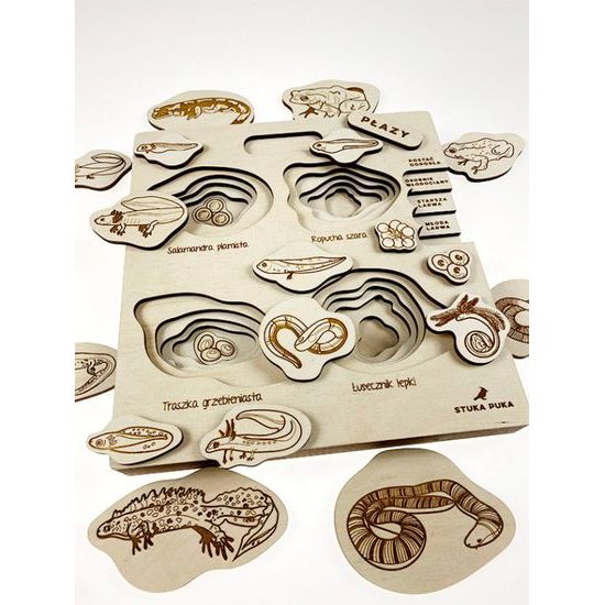 Obojživelníky - životné cyklusy - set - ČESKÁ VERZIA