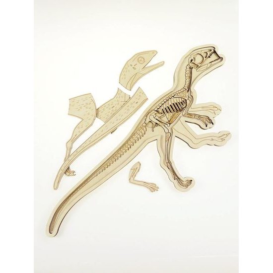 Dinosaurus - anatómia tela - edukatívne puzzle - ČESKÁ VERZIA