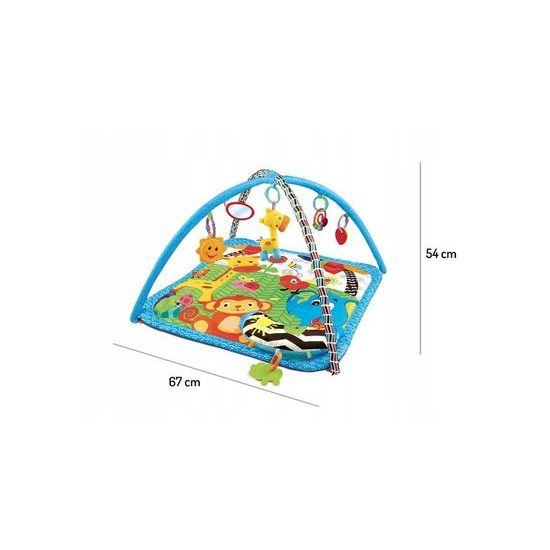 Ecotoys hracia deka s hudobnou hračkou