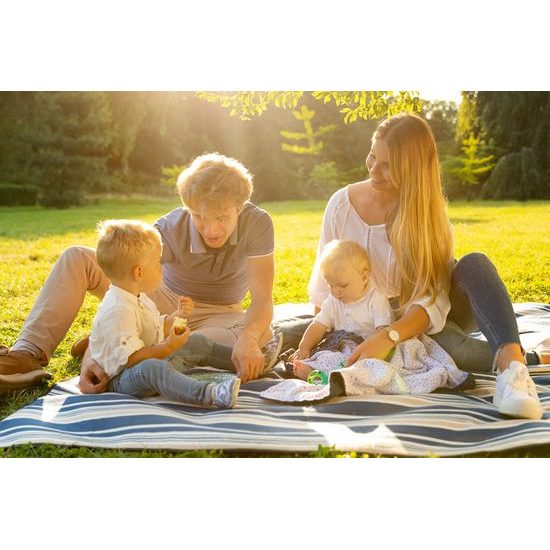 LEHKÁ DEKA MINKY 75 x 100 GRAFITOVÝCH SNÍKŮ