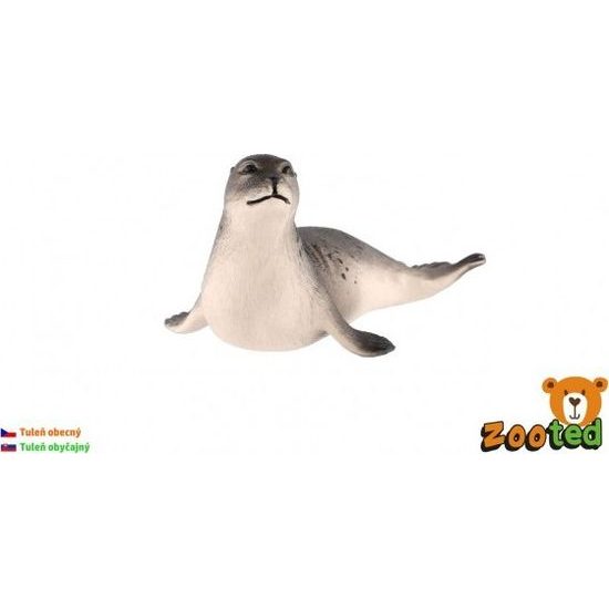 Tuleň obecný zooted