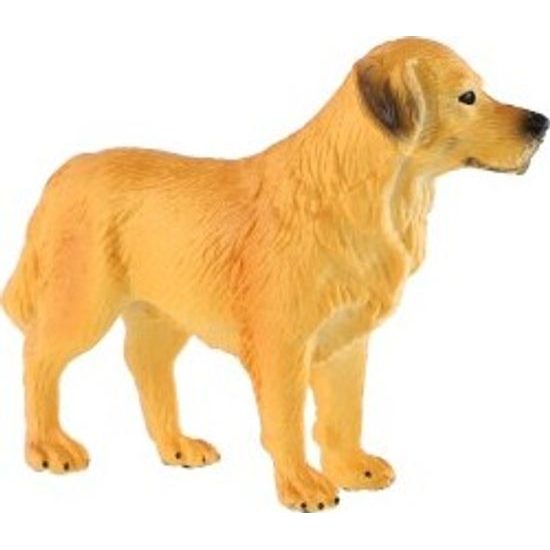 Retrívr zlatý - pes domácí zooted