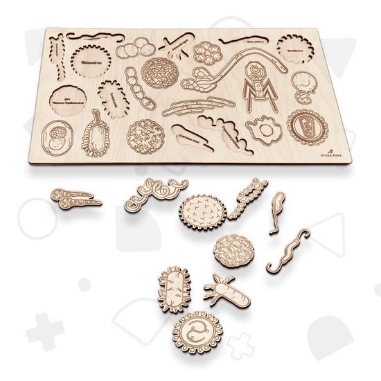Baktérie a vírusy- edukatívne drevené puzzle 24x28 cm