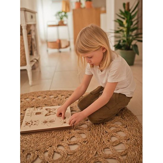 Hmyz - životní cyklus - set 6 - SLOVENSKÁ VERZE