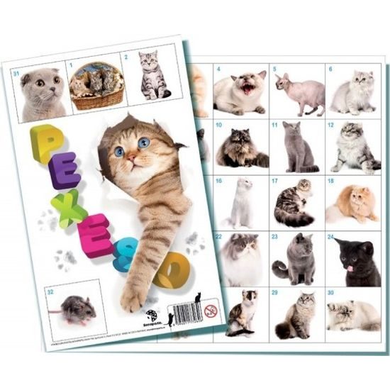 Pexeso Kočky společenská hra 32 obrázkových dvojic