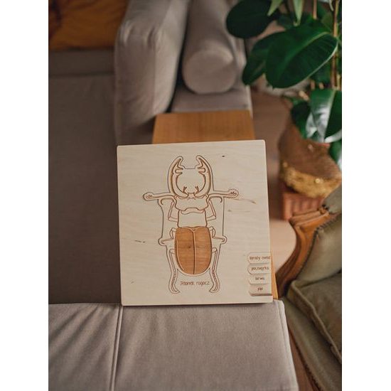 Roháč obyčajný - životný cyklus - ČESKÁ VERZIA