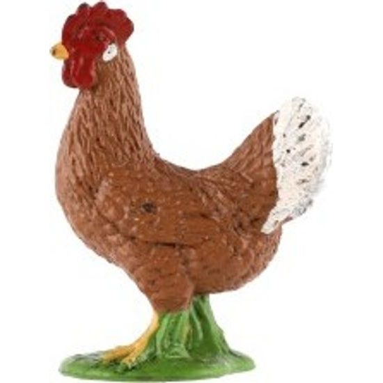 Slepice kura domácího zooted