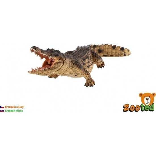 Krokodýl nilský zooted