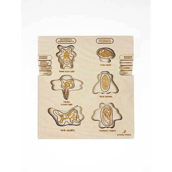 Proměna dokonalá, nedokonalá - životní cykly - set - SLOVENSKÁ VERZE