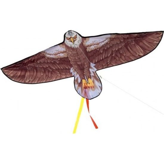 Drak létající - orel