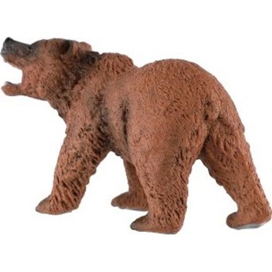 Medvěd hnědý zooted