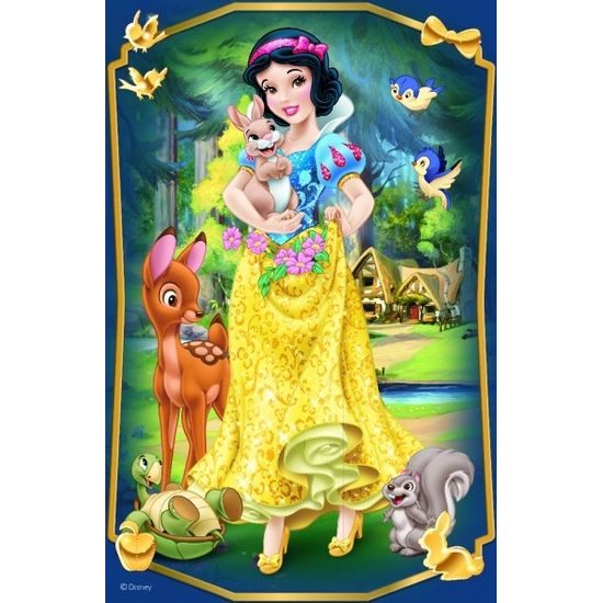 Minipuzzle Krásné princezny 54dílků - mix 4 druhy