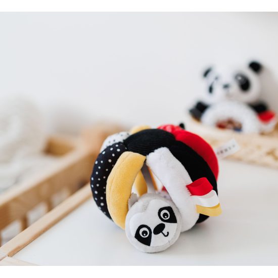 CANPOL babies Senzorický míček LENOCHOD s chrastítkem a pískátkem BabiesBoo