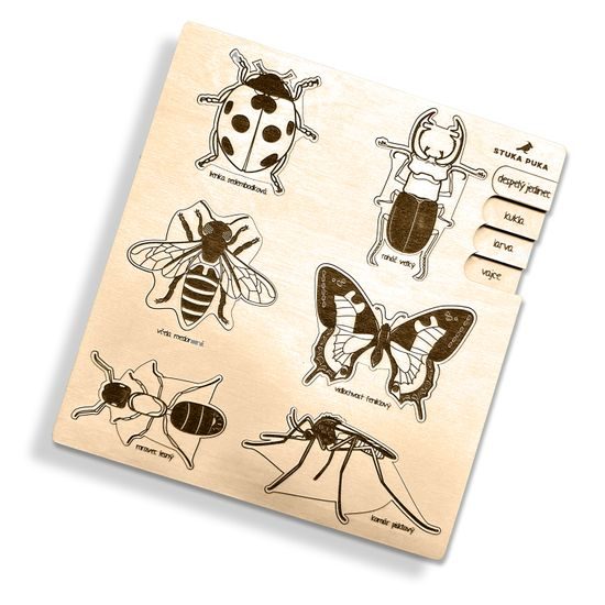 Hmyz - životní cyklus - set 6 - SLOVENSKÁ VERZE