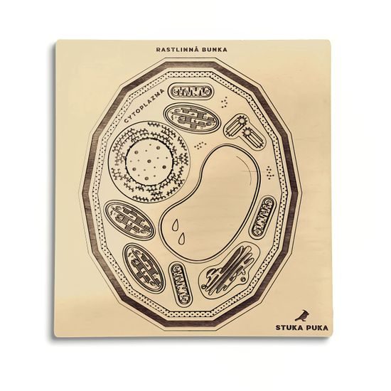 Rastlinná bunka - edukatívne puzzle - SLOVENSKÁ VERZIA