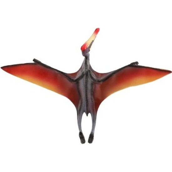 Pterosaur zooted