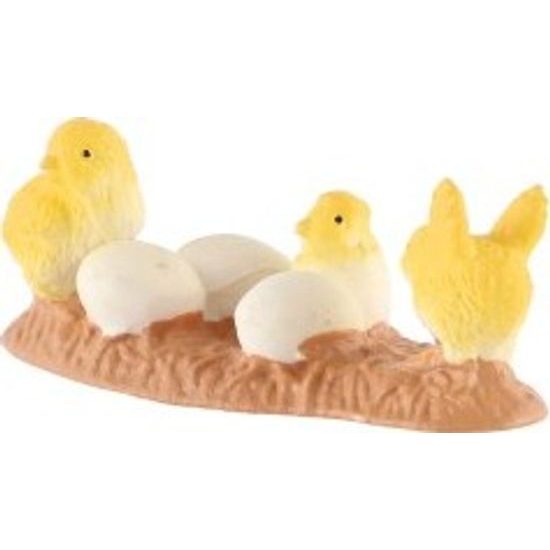 Kuřátka kura domácího zooted