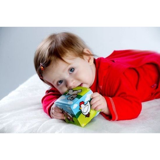 Kostka - Moje první zvířátka