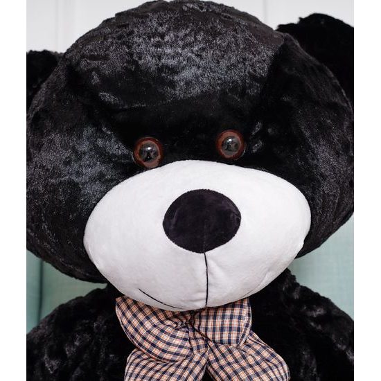 Plyšový medvěd Kvído 160 cm černý